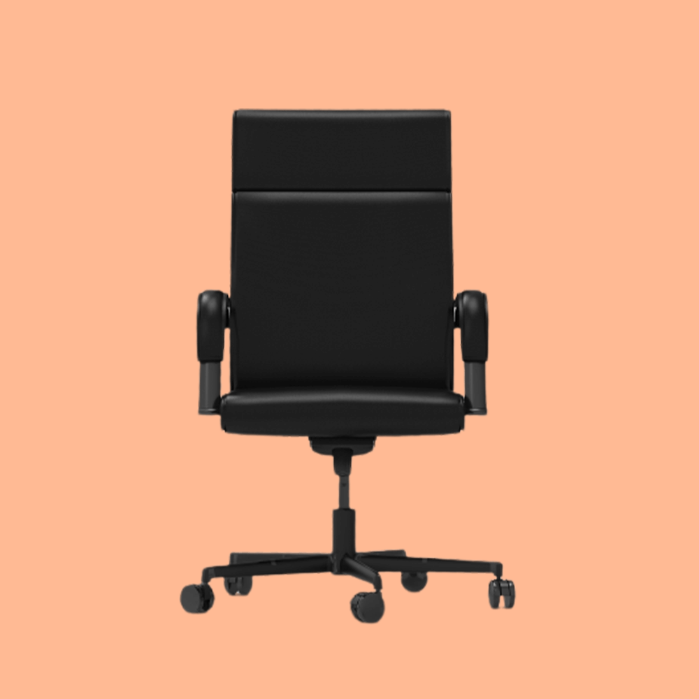 Meeting Chair